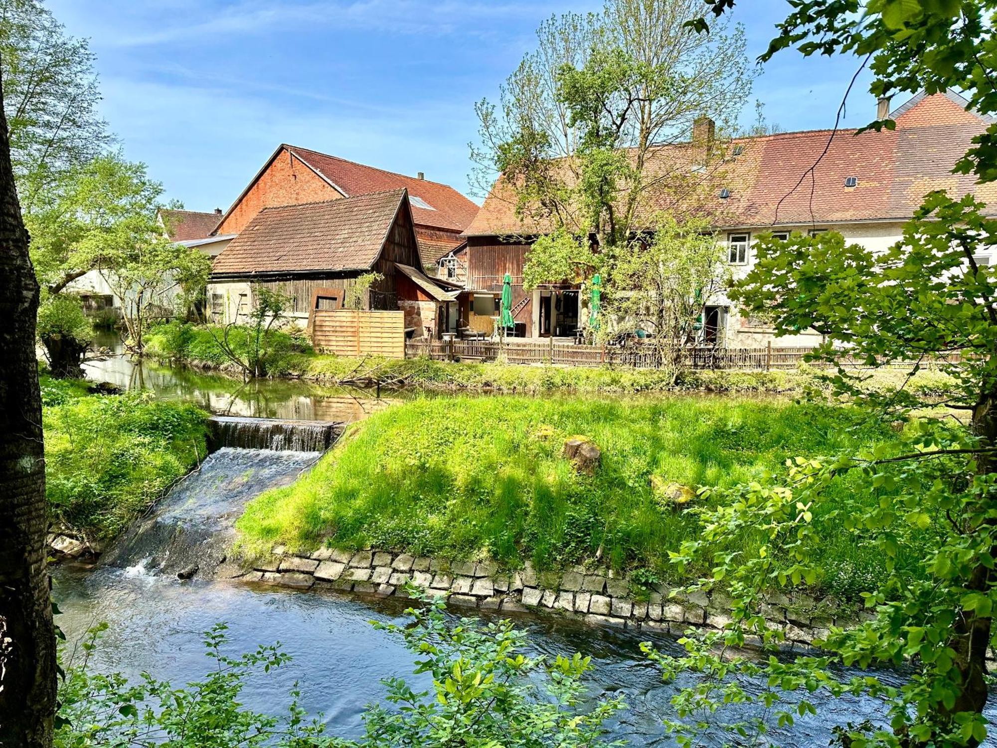 Robin * Erbach (Odenwaldkreis)