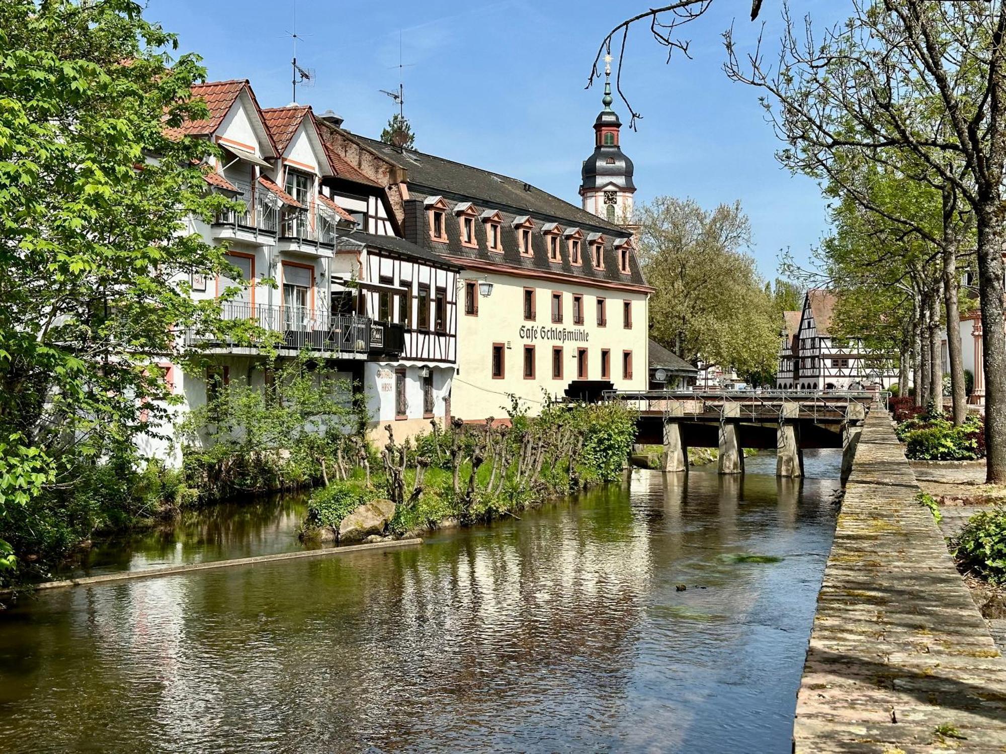 Robin * Erbach (Odenwaldkreis)