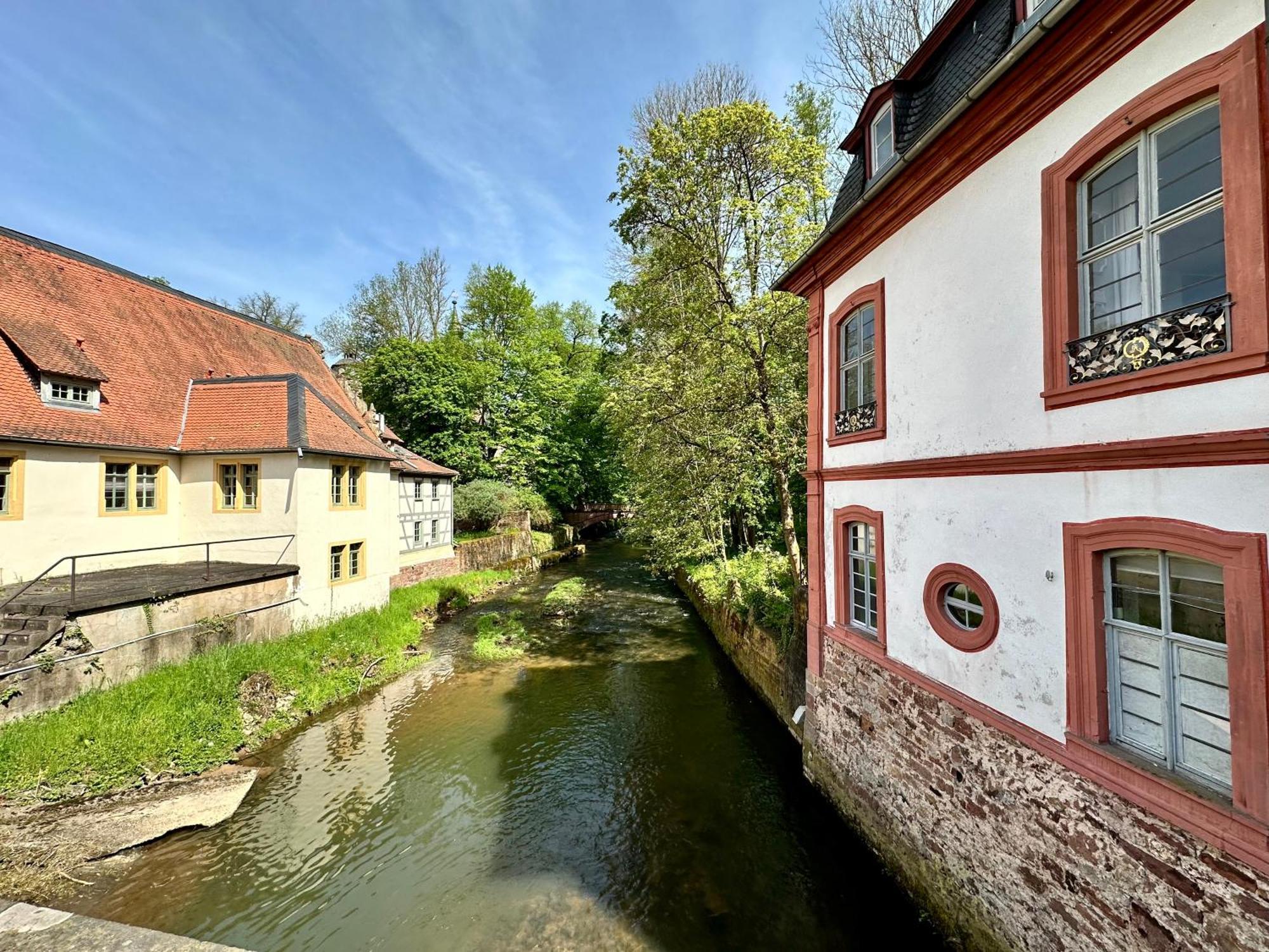 Robin * Erbach (Odenwaldkreis)